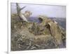 Sea Eagle's Nest, 1907-Bruno Andreas Liljefors-Framed Giclee Print