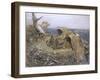 Sea Eagle's Nest, 1907-Bruno Andreas Liljefors-Framed Giclee Print