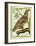 Sea Eagle-Georges-Louis Buffon-Framed Giclee Print