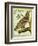 Sea Eagle-Georges-Louis Buffon-Framed Giclee Print