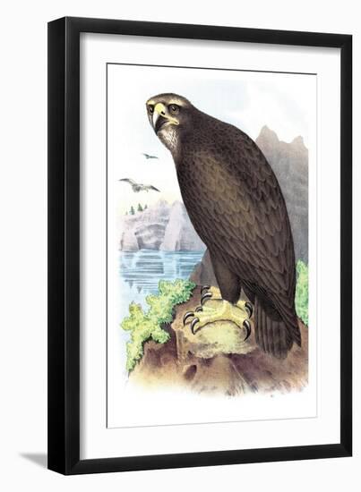 Sea Eagle-Theodore Jasper-Framed Art Print