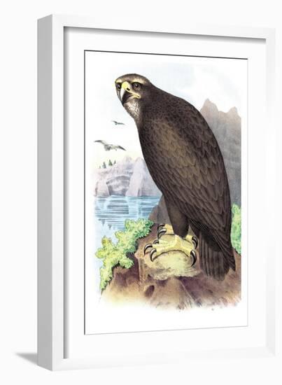 Sea Eagle-Theodore Jasper-Framed Art Print