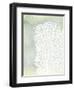 Sea Fan 1-Albert Koetsier-Framed Art Print