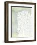 Sea Fan 1-Albert Koetsier-Framed Art Print