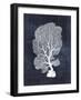 Sea Fan 1-Denise Brown-Framed Art Print