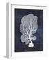 Sea Fan 1-Denise Brown-Framed Art Print