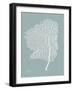 Sea Fan 2-Albert Koetsier-Framed Art Print