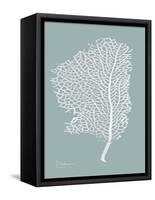 Sea Fan 2-Albert Koetsier-Framed Stretched Canvas