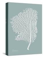 Sea Fan 2-Albert Koetsier-Stretched Canvas