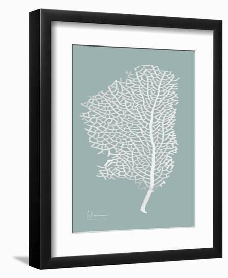 Sea Fan 2-Albert Koetsier-Framed Art Print