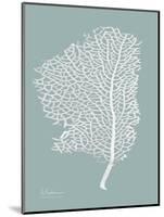 Sea Fan 2-Albert Koetsier-Mounted Art Print