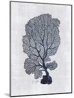 Sea Fan 2-Denise Brown-Mounted Art Print