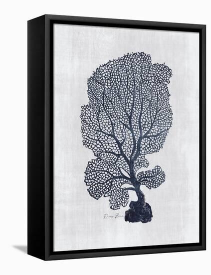 Sea Fan 2-Denise Brown-Framed Stretched Canvas