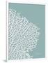 Sea Fan 3-Albert Koetsier-Framed Art Print