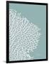 Sea Fan 3-Albert Koetsier-Framed Art Print