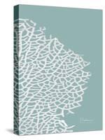 Sea Fan 3-Albert Koetsier-Stretched Canvas