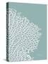 Sea Fan 3-Albert Koetsier-Stretched Canvas