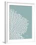 Sea Fan 3-Albert Koetsier-Framed Art Print