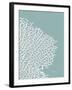 Sea Fan 3-Albert Koetsier-Framed Art Print