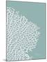 Sea Fan 3-Albert Koetsier-Mounted Art Print