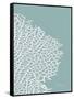 Sea Fan 3-Albert Koetsier-Framed Stretched Canvas