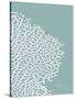 Sea Fan 3-Albert Koetsier-Stretched Canvas