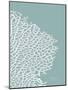 Sea Fan 3-Albert Koetsier-Mounted Art Print