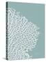 Sea Fan 3-Albert Koetsier-Stretched Canvas