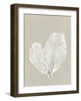 Sea Fan 4-Mary Margaret Briggs-Framed Giclee Print