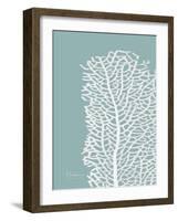 Sea Fan 4-Albert Koetsier-Framed Art Print