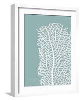 Sea Fan 4-Albert Koetsier-Framed Art Print