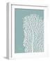 Sea Fan 4-Albert Koetsier-Framed Art Print