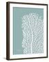 Sea Fan 4-Albert Koetsier-Framed Art Print