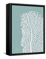 Sea Fan 4-Albert Koetsier-Framed Stretched Canvas