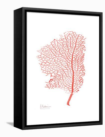 Sea Fan 5-Albert Koetsier-Framed Stretched Canvas