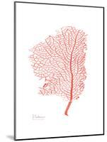 Sea Fan 5-Albert Koetsier-Mounted Premium Giclee Print