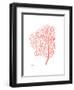 Sea Fan 5-Albert Koetsier-Framed Premium Giclee Print