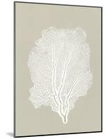 Sea Fan 5-Mary Margaret Briggs-Mounted Giclee Print