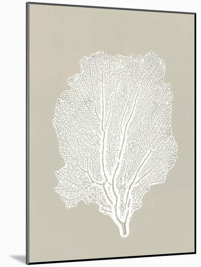 Sea Fan 5-Mary Margaret Briggs-Mounted Giclee Print