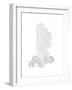 Sea Fan and Sand Dollar F164-Albert Koetsier-Framed Premium Giclee Print