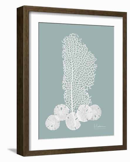 Sea Fan and Sand Dollar Teal-Albert Koetsier-Framed Art Print