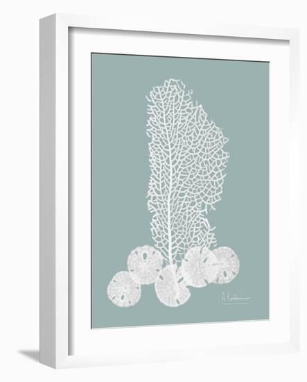 Sea Fan and Sand Dollar Teal-Albert Koetsier-Framed Art Print