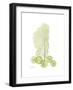 Sea Fan and Sand Dollar-Albert Koetsier-Framed Premium Giclee Print