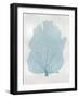 Sea Fan Aqua I-Melonie Miller-Framed Art Print