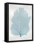 Sea Fan Aqua I-Melonie Miller-Framed Stretched Canvas