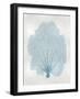 Sea Fan Aqua II-Melonie Miller-Framed Art Print