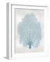 Sea Fan Aqua II-Melonie Miller-Framed Art Print