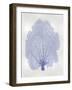 Sea Fan Blue II-Melonie Miller-Framed Art Print