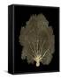 Sea Fan Gold on Black II-Melonie Miller-Framed Stretched Canvas