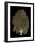 Sea Fan Gold on Black II-Melonie Miller-Framed Art Print